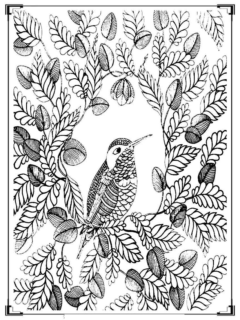 Free Printable Coloring Pages for Adults Animal