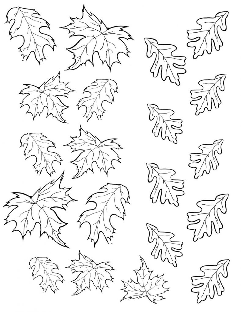 Autumn Coloring Pages Leaves