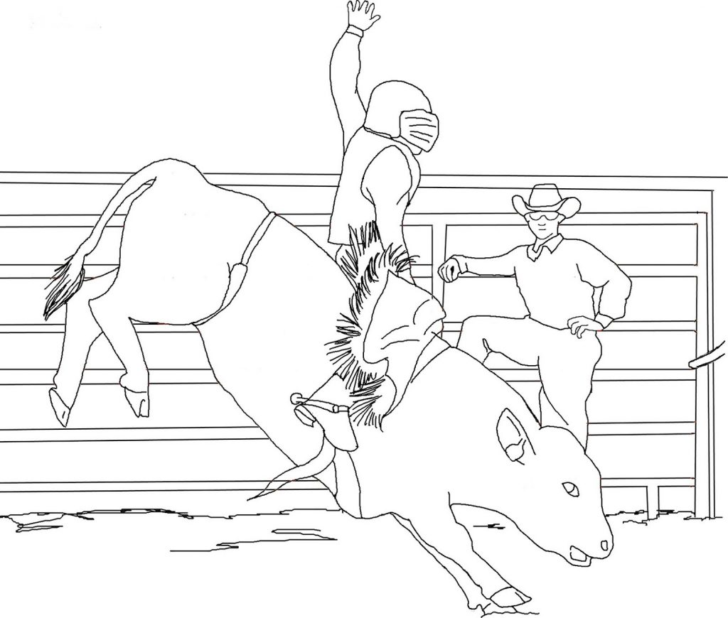 Bull Coloring Pages Printables