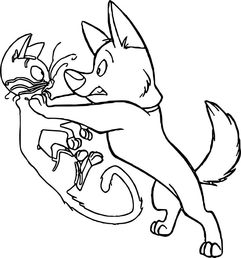 Cat And Dog Coloring Pages Bolt