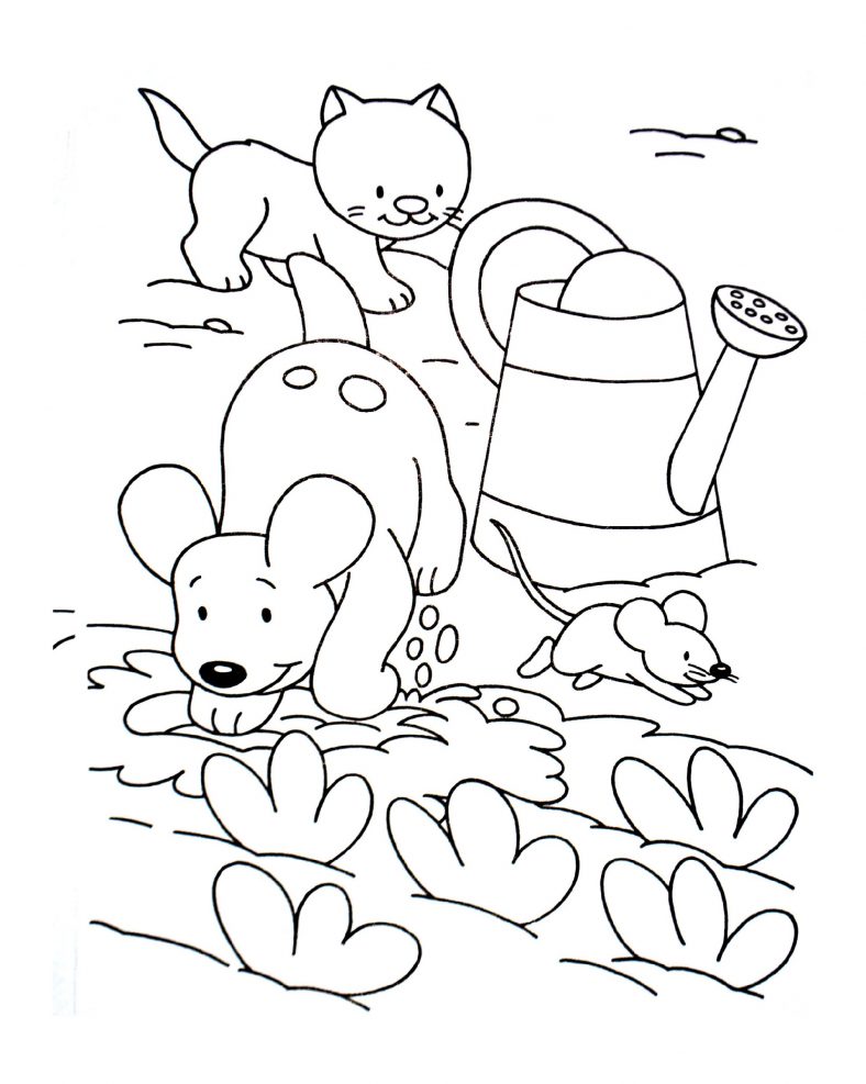 Cat And Dog Coloring Pages Pet