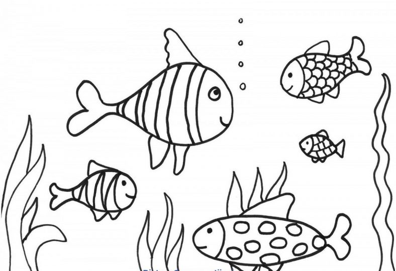 Coloring Activity For Grade 1 Fish
