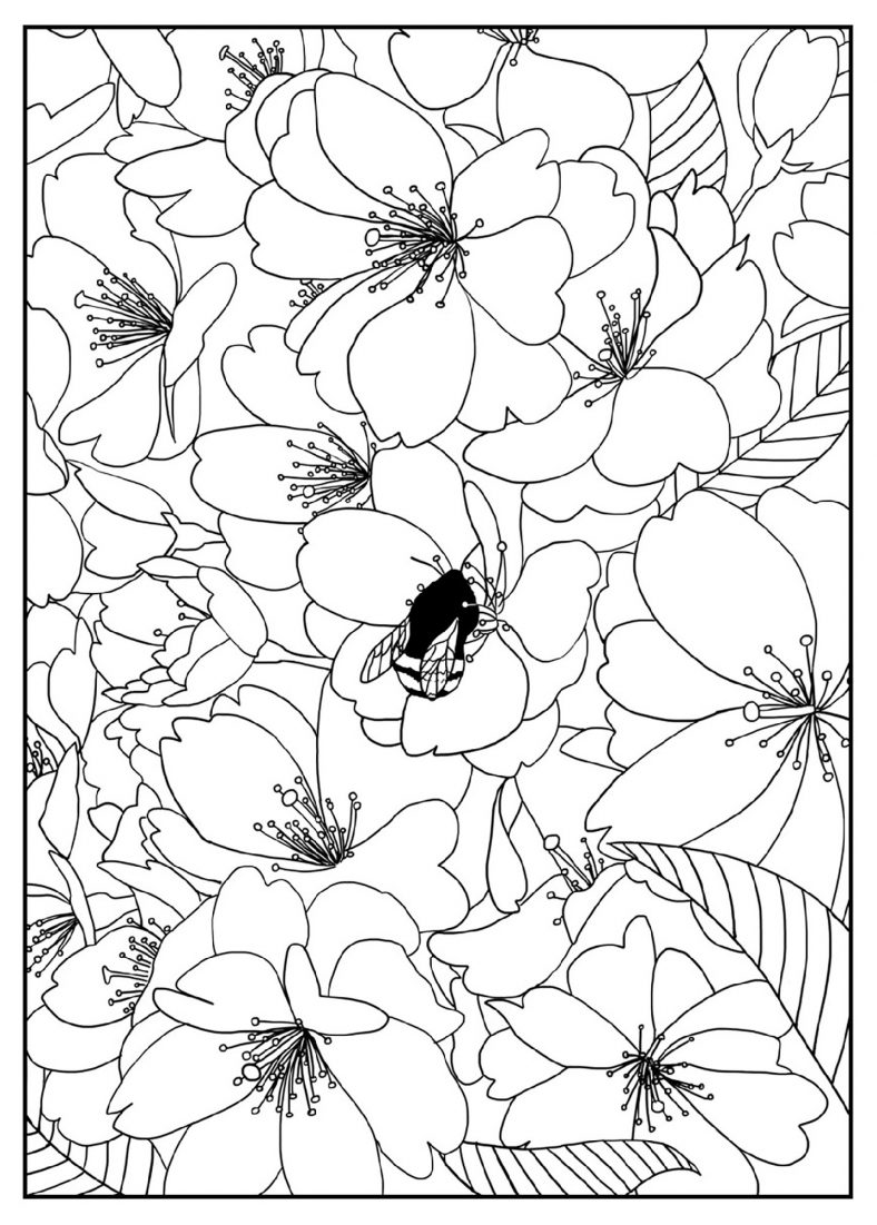 Coloring Sheets Flowers