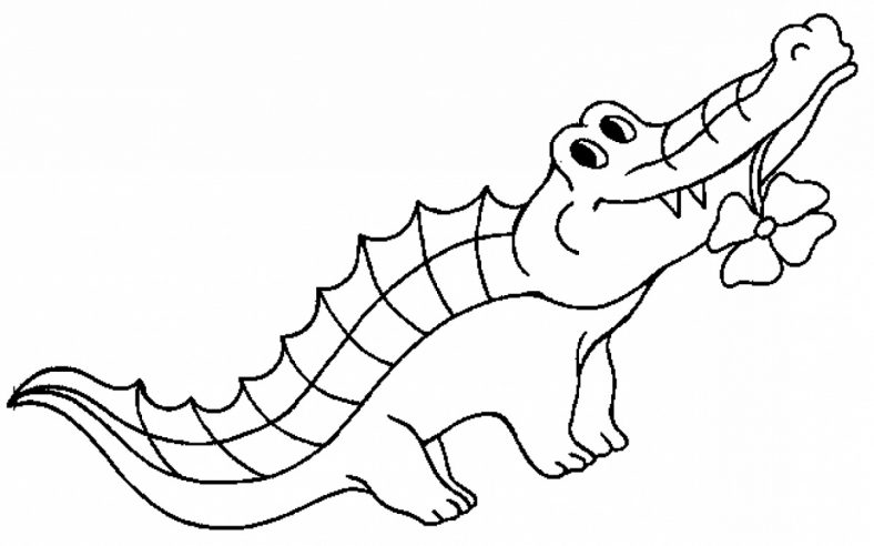 Crocodile Coloring Pages Easy