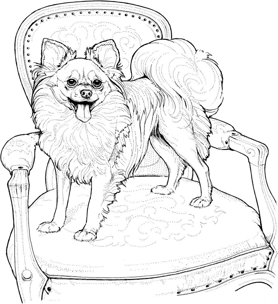 Dog Coloring Pages Free