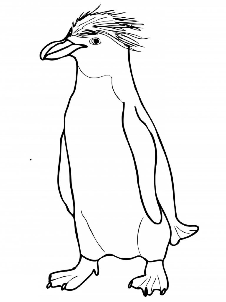 Printable Cute Penguin Coloring Pages | 101 Coloring