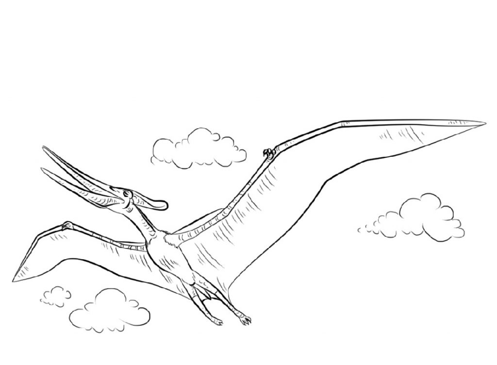 Flying Dinosaur Coloring Pages