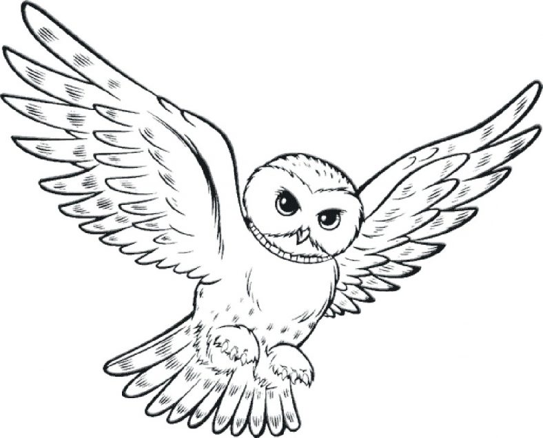 Flying Owl Coloring Pages