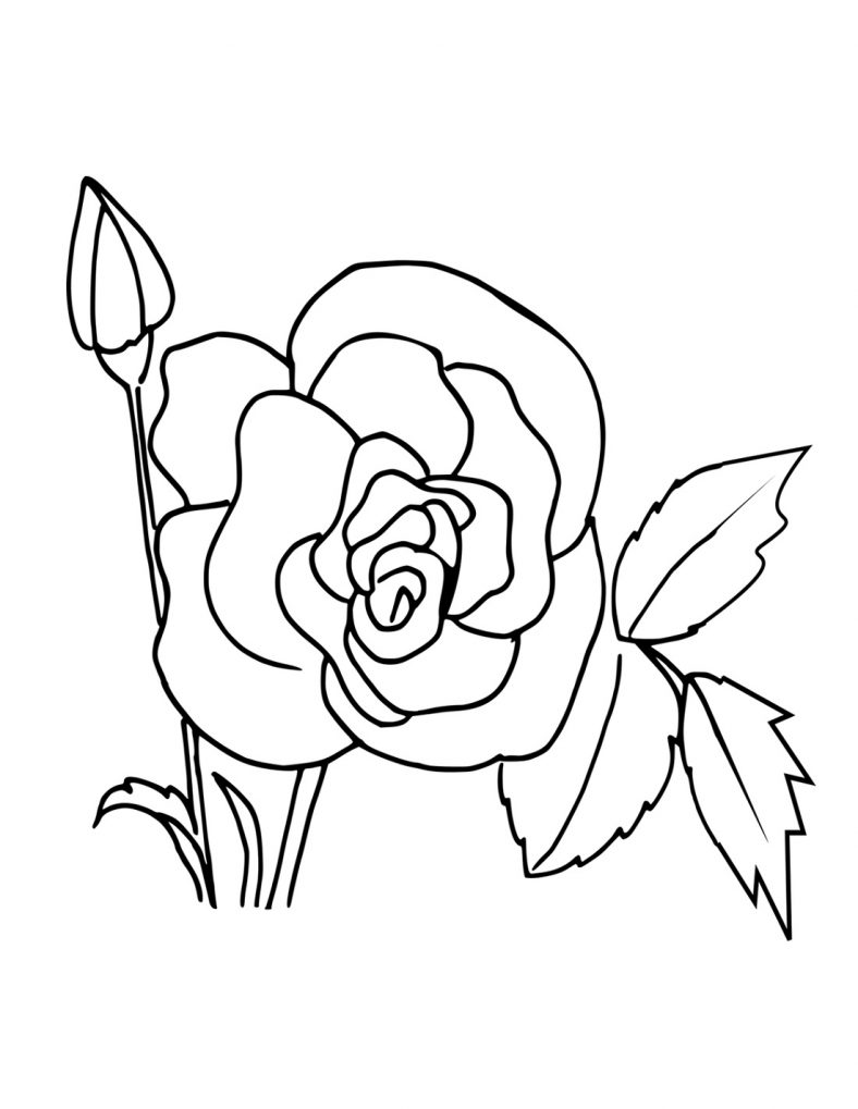 Free Printable Coloring Pages For Girls Rose