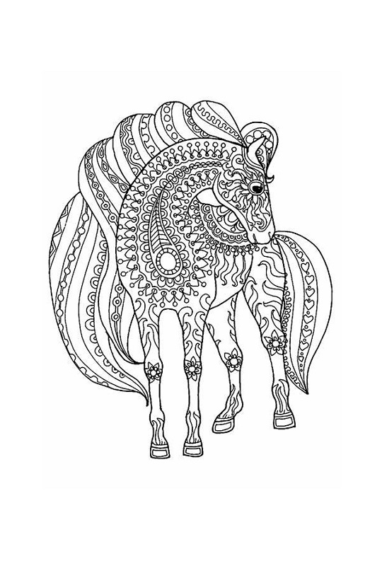Horse Coloring Pages For Adults Arts