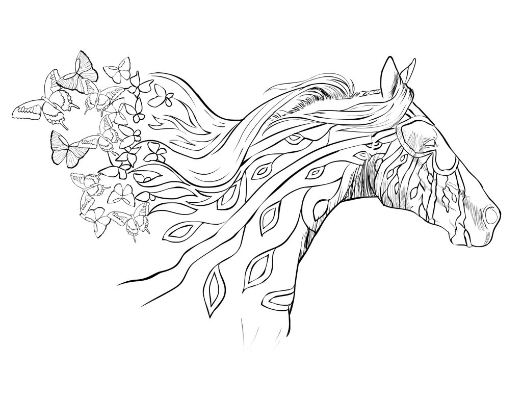 Horse Coloring Pages For Adults With Butterfly
