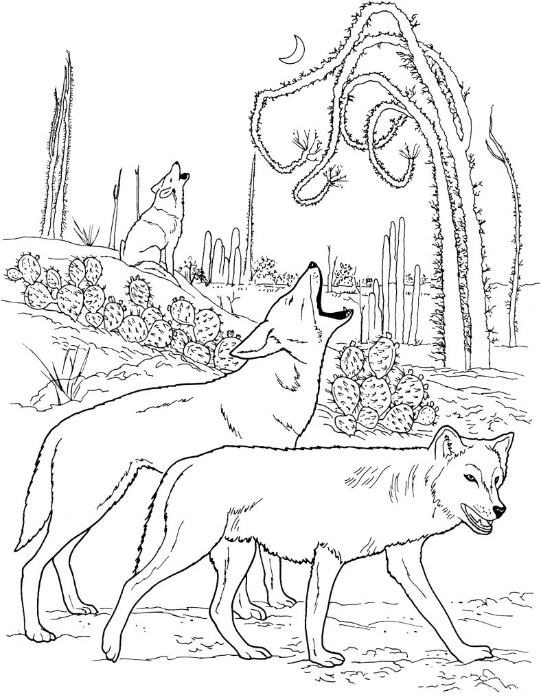 Howling Wolf Coloring Pages