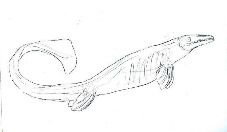Jurassic World Coloring Pages Mosasaur