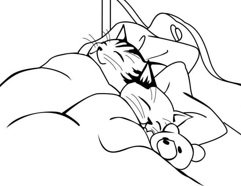 Kitten Coloring Pages Sleeping