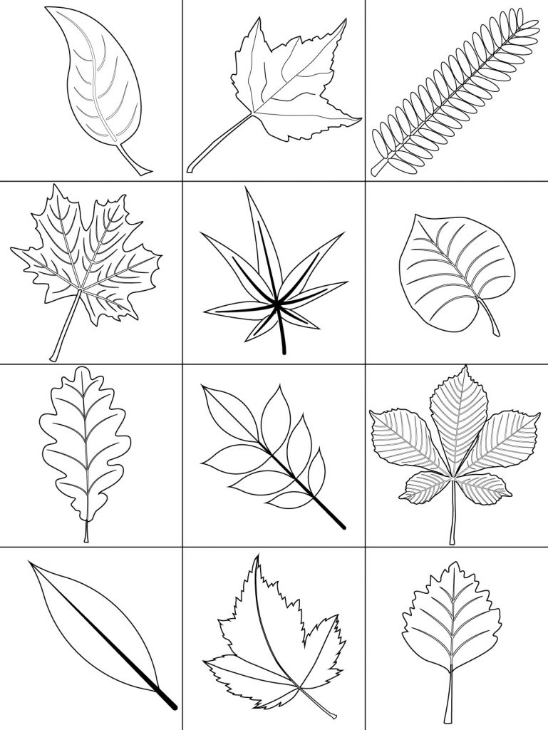 Leaf Coloring Pages Fall