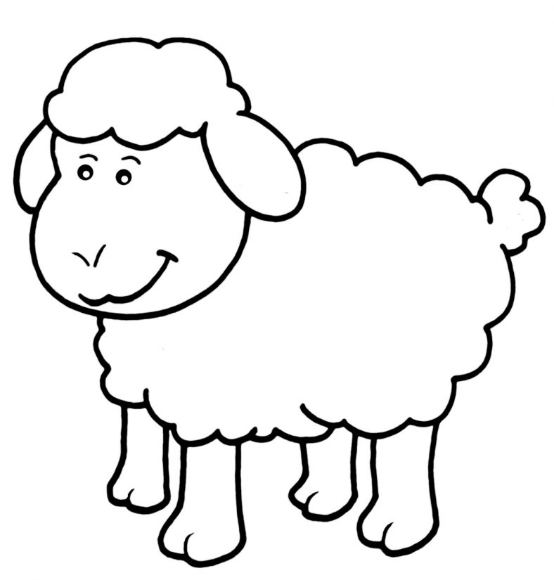 Little Sheep Coloring Page