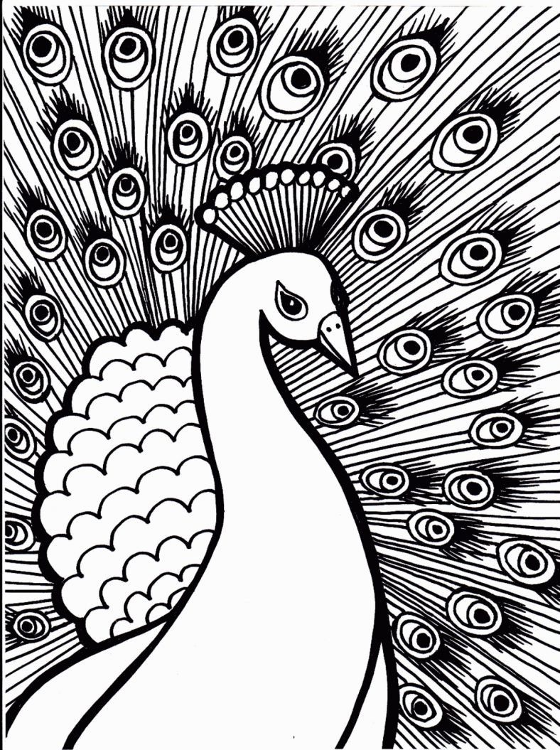 Peacock Large Coloring Books