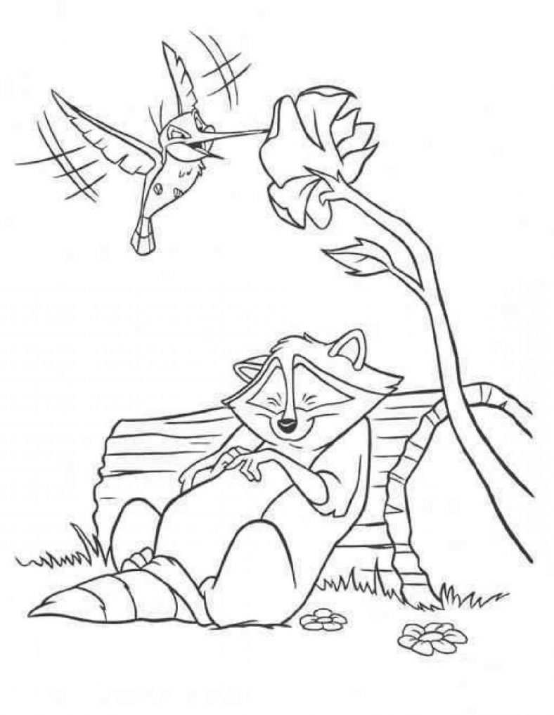 Pocahontas Coloring Pages Raccoon