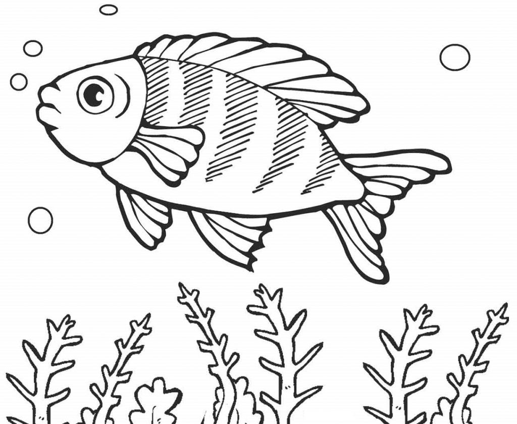 Printable Fish Coloring Pages Swim
