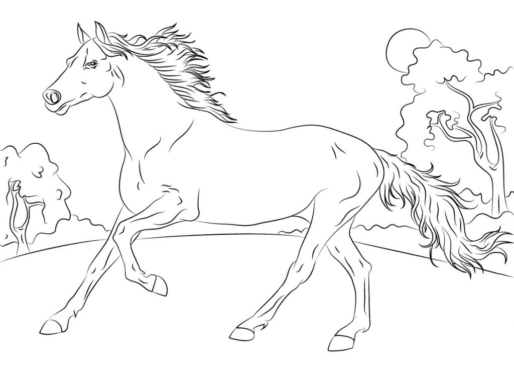 Running Horse Coloring Pages
