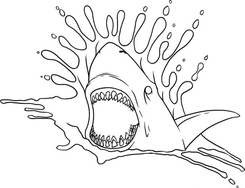 Shark Coloring Pages Scary