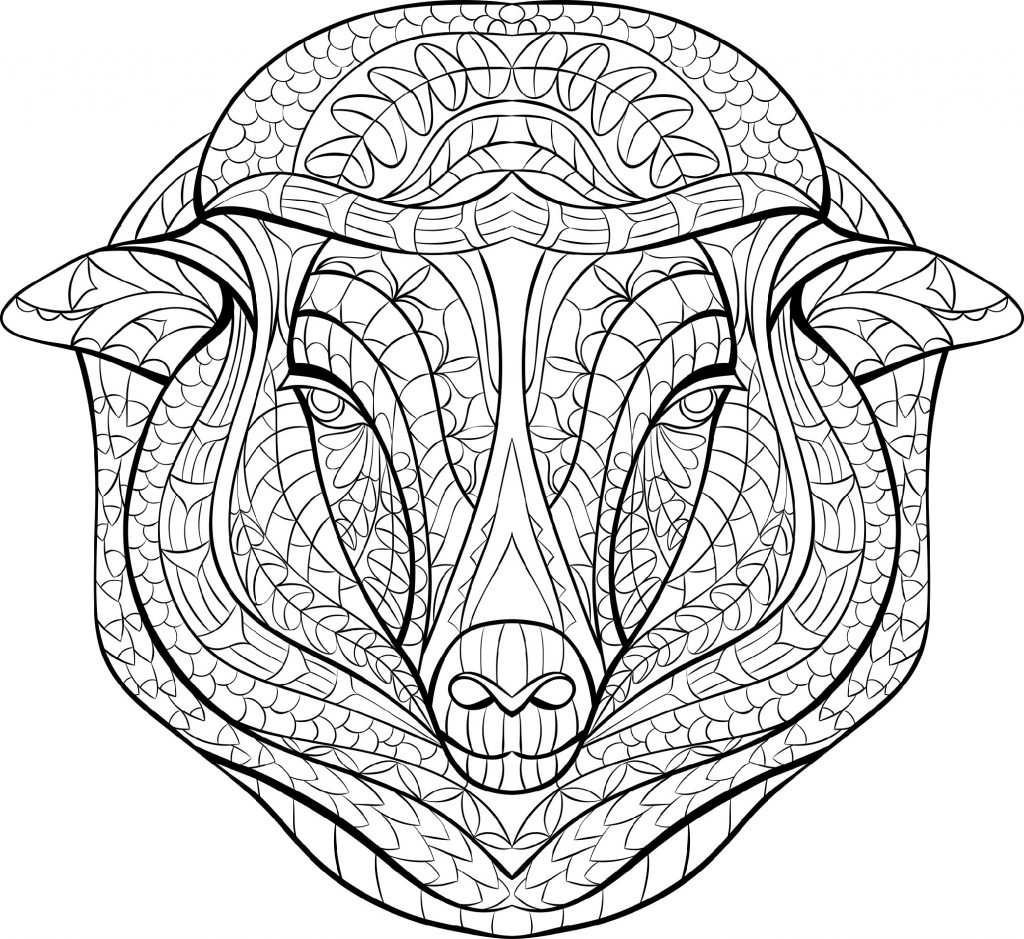 Sheep Coloring Page For Adults