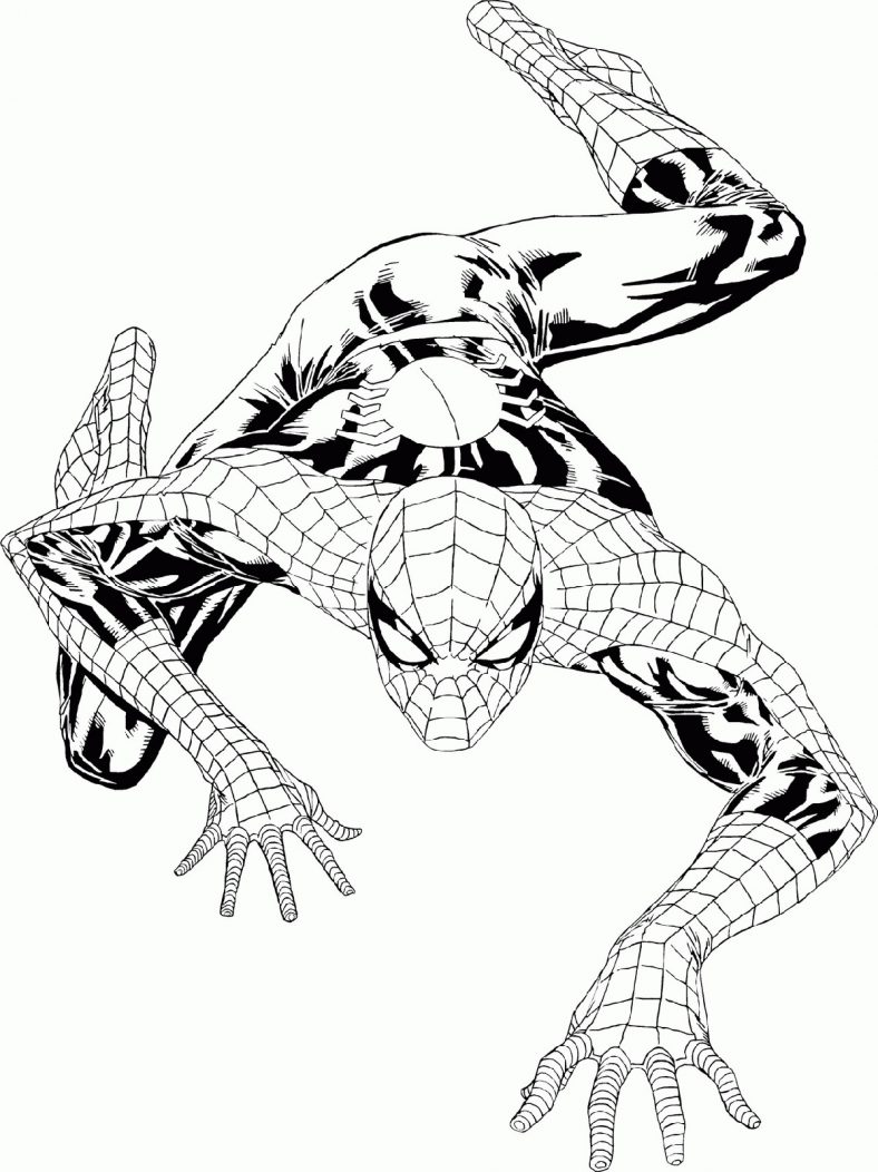 Spiderman Coloring Sheet Free