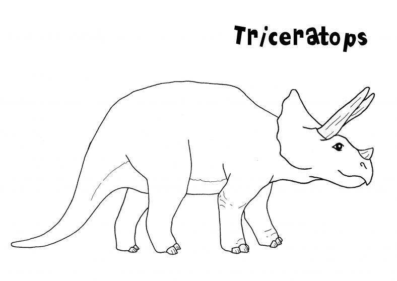 Triceratops Coloring Page Simple