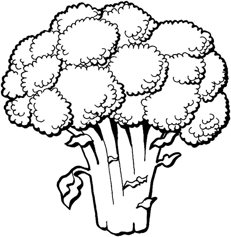 Vegetable Coloring Pages Broccoli