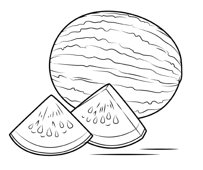 Watermelon Coloring Page Fruit