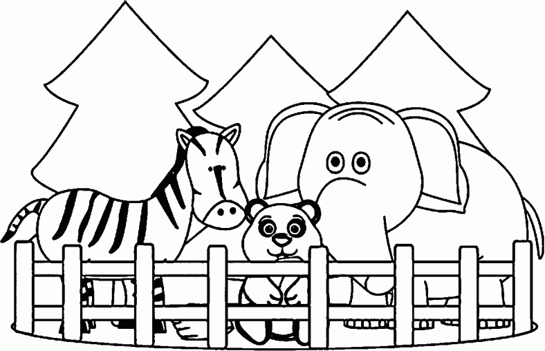 Zoo Animal Coloring Pages Cute