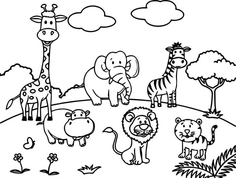 Zoo Animal Coloring Pages Preschool